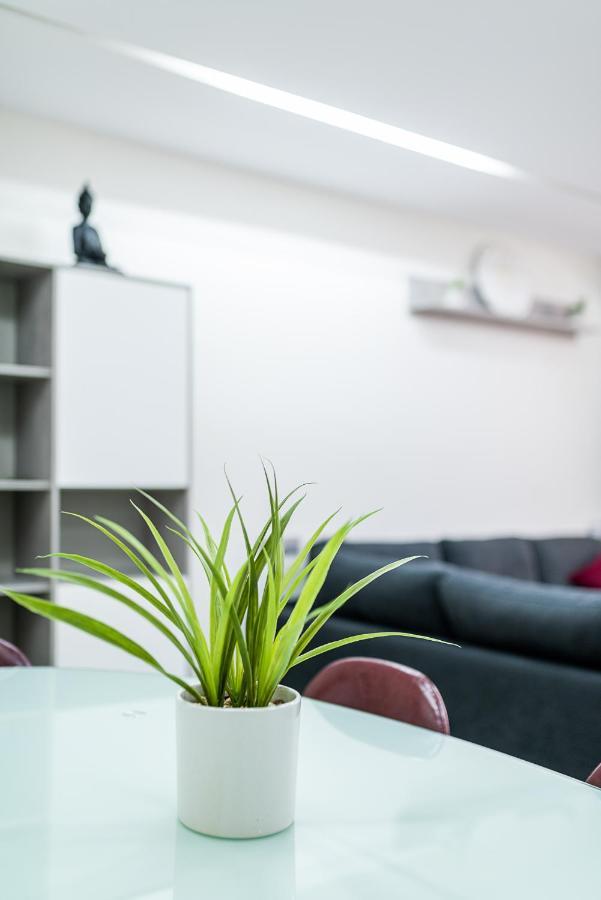 Moderno Apartamento Centro グラナダ エクステリア 写真